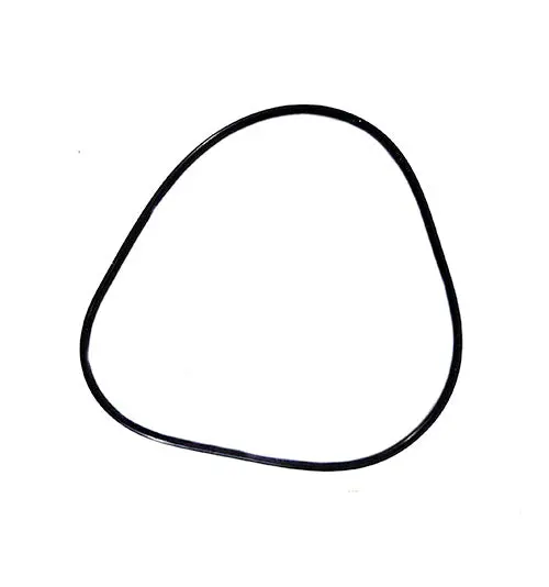 Pentair O-Ring 590118Z 1