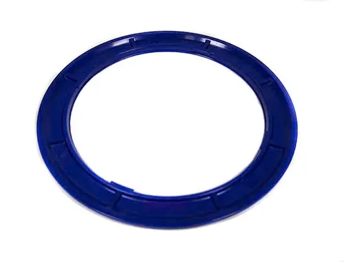 Pentair Color Ring 590128Z 2