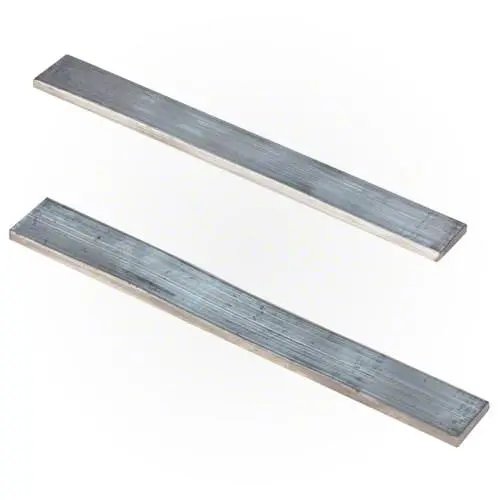 Polaris Hose Weight 6-110-00 - 2 Pack 1