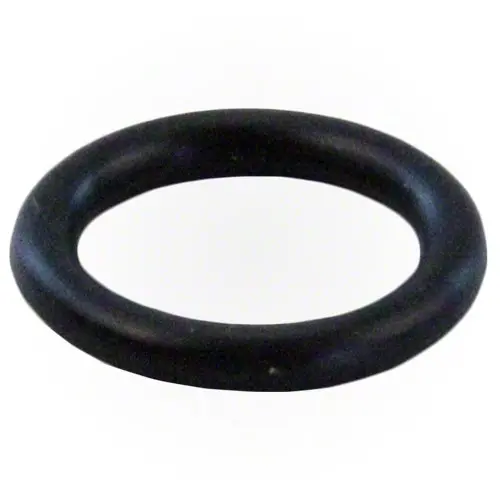 Pentair O-Ring 6020006 1