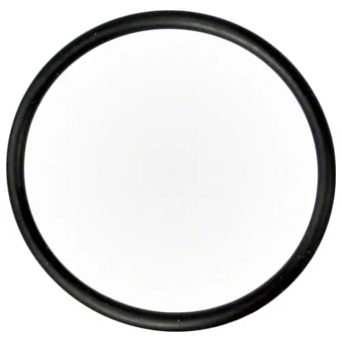 Pentair Union O-Ring 6020018Z 1