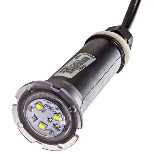 Pentair Globrite White Led Light 602104 - 100 Foot Cord 1