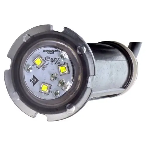 Pentair Globrite White Led Light 602102 - 30 Foot Cord 2