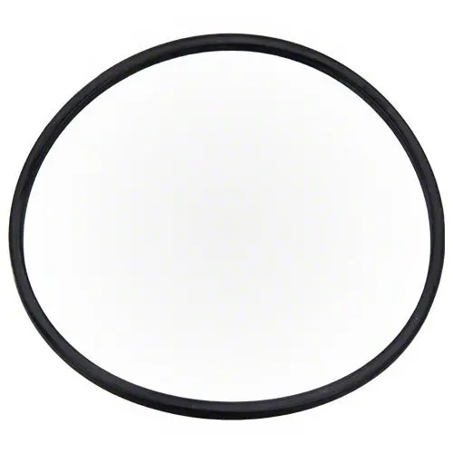 Pentair Intellibrite Landscape Light O-Ring 620013Z 1