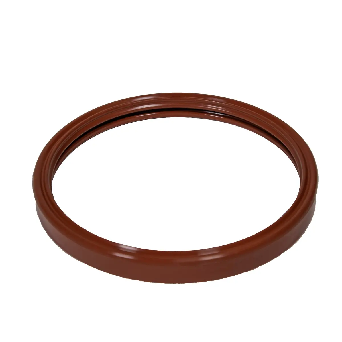 Pentair Light Gasket 620400Z 1