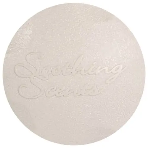 Waterway Aroma Therapy Canister Cap - 662-2800 1