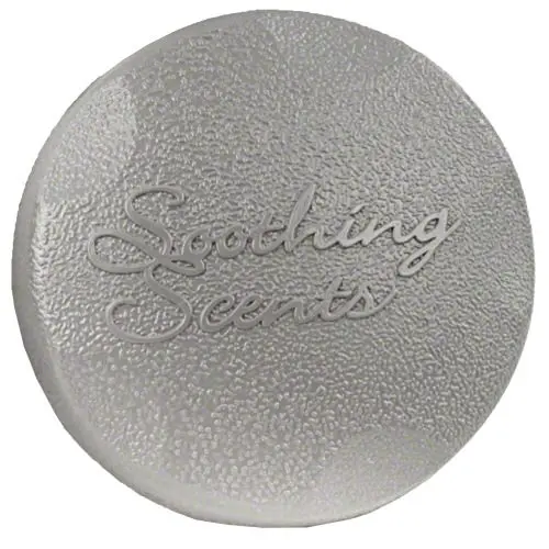 Waterway Aroma Therapy Canister Cap - 662-2807 1