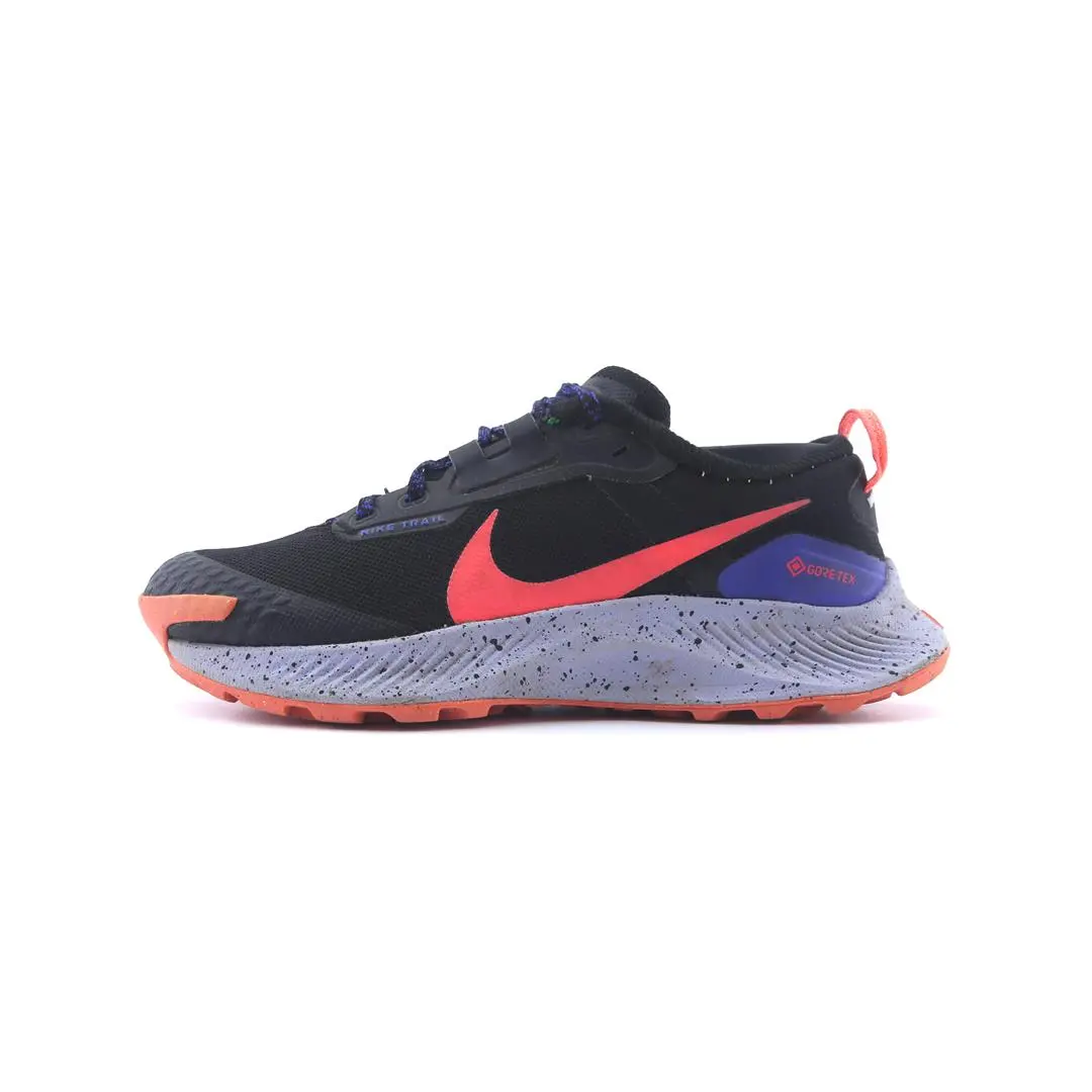 Nike Pegasus Trail 3 Gtx 1