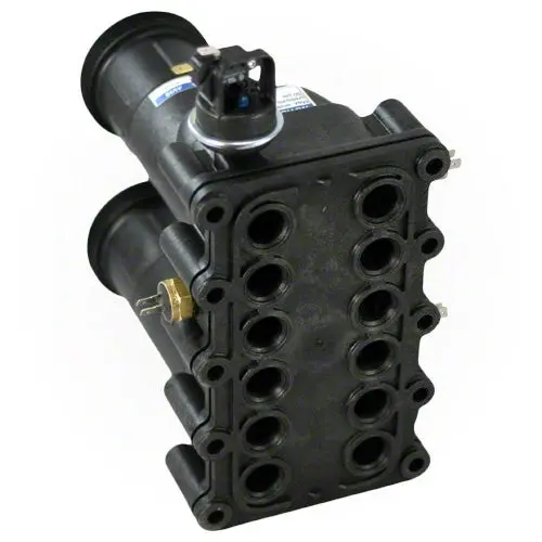 Pentair Manifold Kit 77707-0016 2
