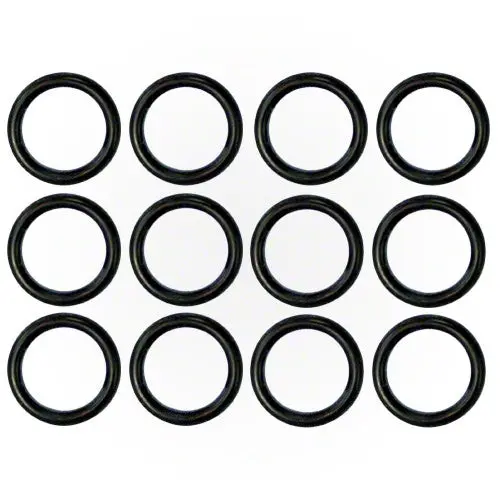 Pentair Tube Sheet Coil Sealing O-Ring Kit 77707-0119 1