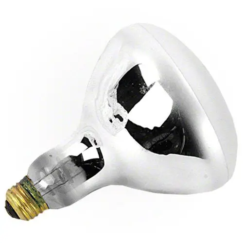 Pentair 500 Watt Bulb 79102100 - 120 Volt 2