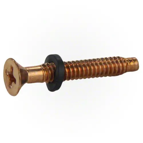 Pentair Brass Pilot Screw With Washer 79104800Z 1