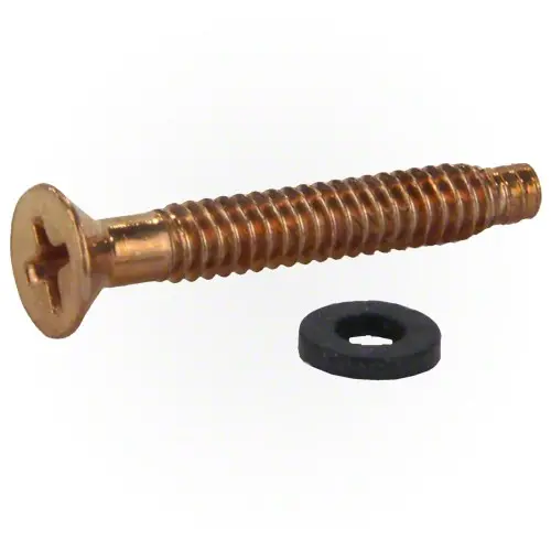 Pentair Brass Pilot Screw With Washer 79104800Z 2