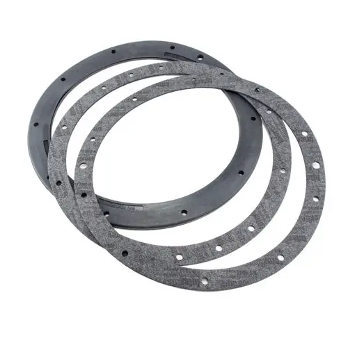 Pentair 10 Hole Pattern Gasket Set 79200700 1