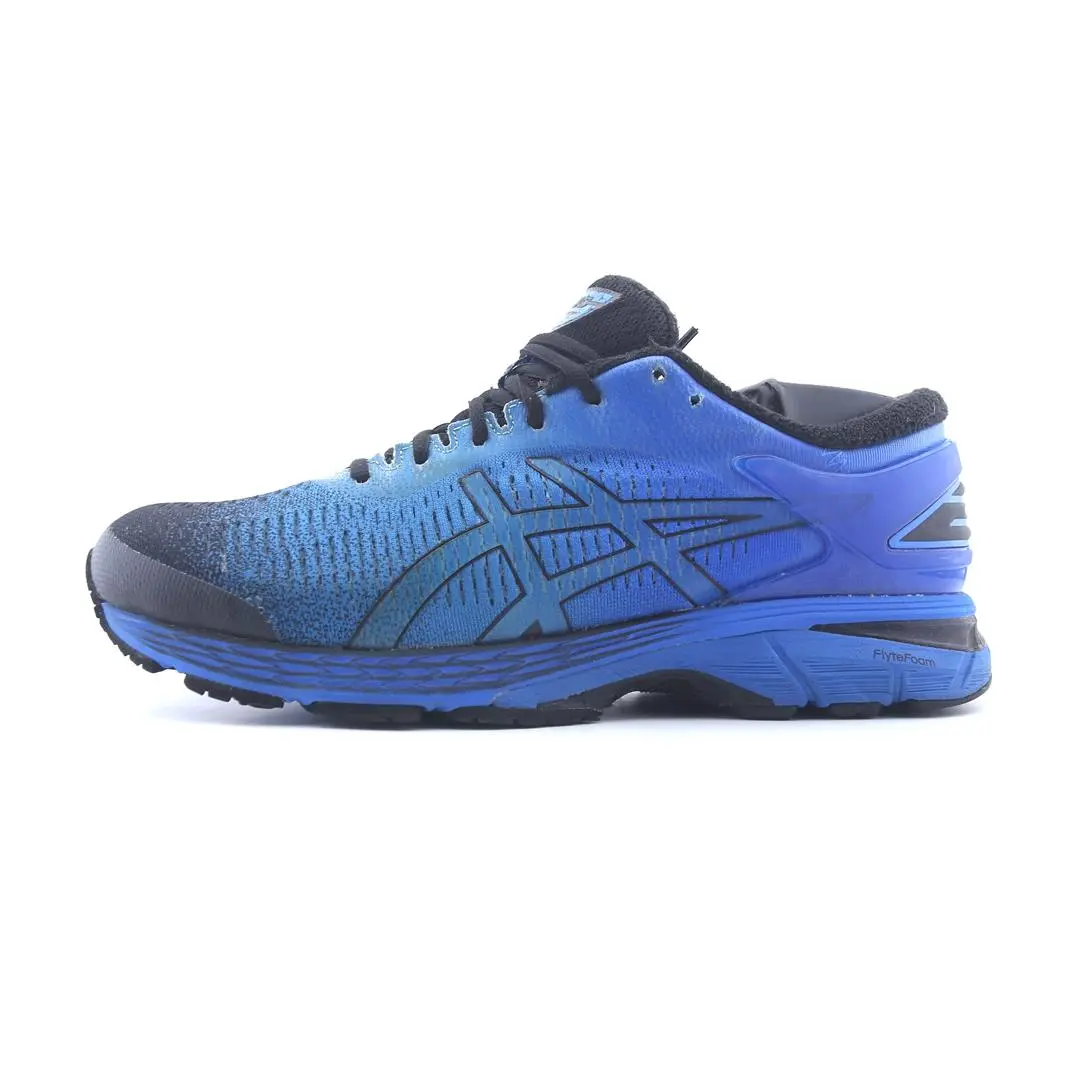Asics Gel-Kayano 25 1