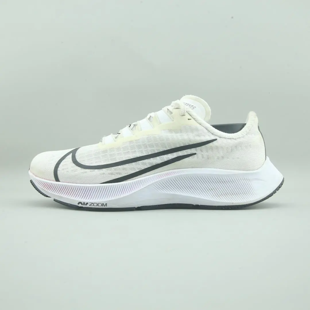 Nike Air Zoom Pegasus 37 1