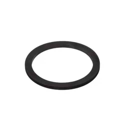 Raypak Heater Element Gasket 100-10000445 1