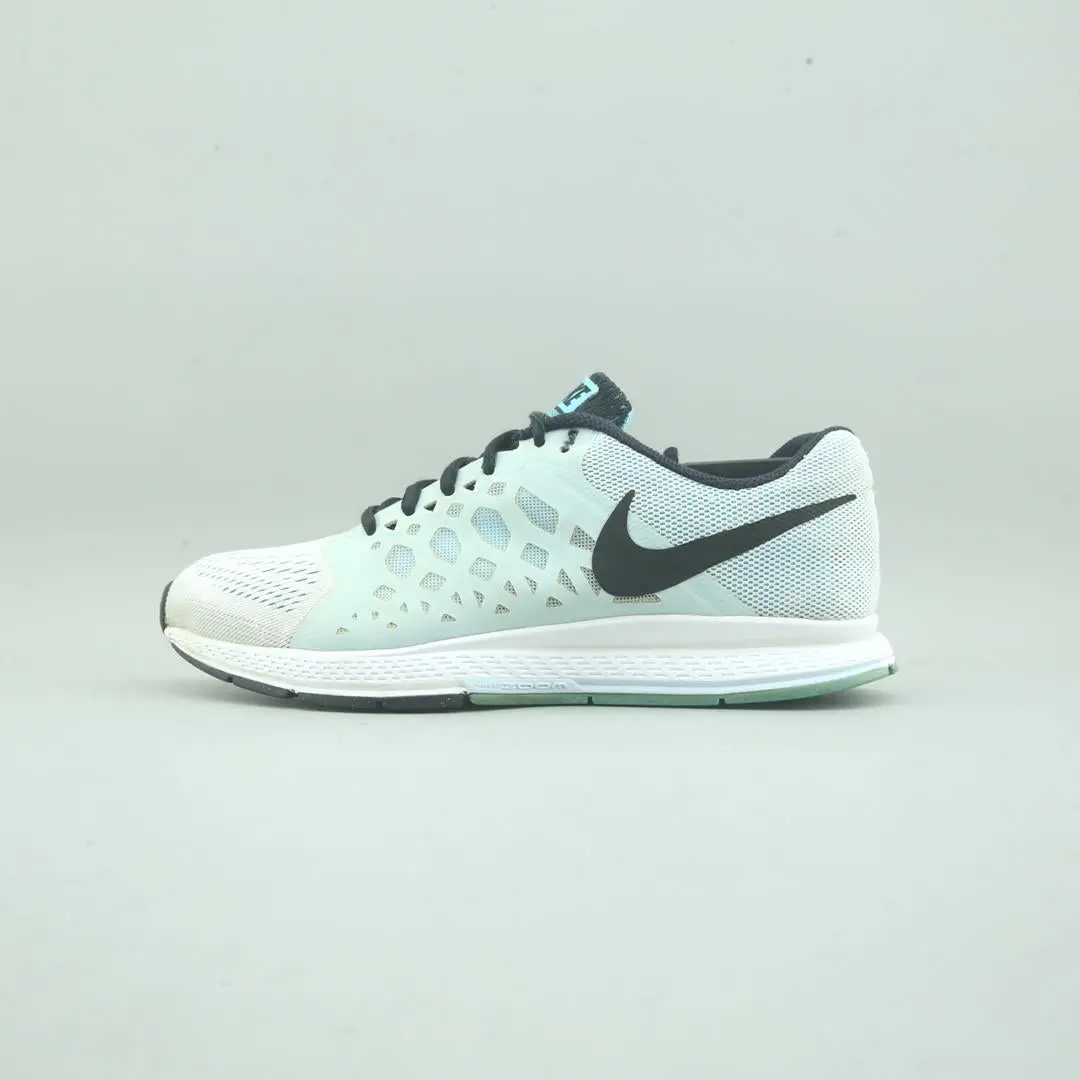 Nike Air Zoom Pegasus 31 1