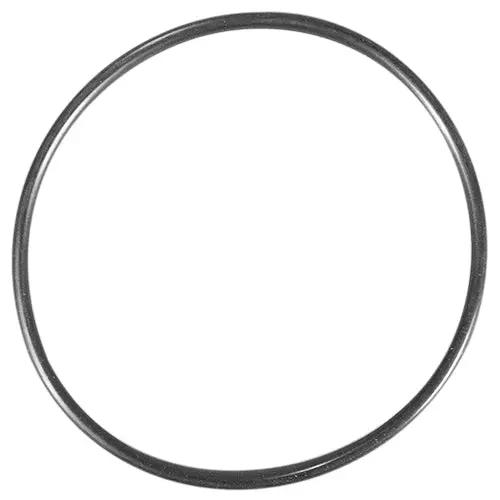 Waterway O-Ring 805-0239 1
