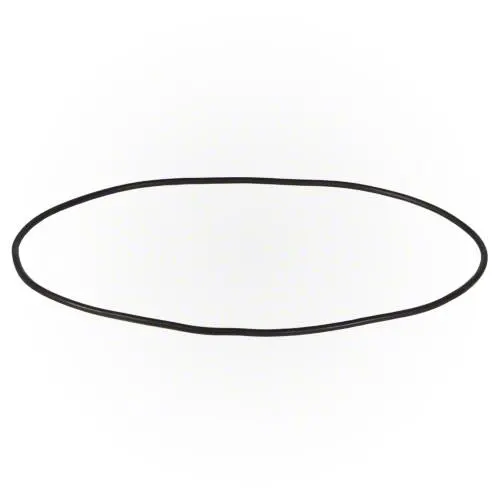 Waterway Viper Pump O-Ring - 805-0263 1