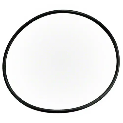 Waterway Filter Lid O-Ring - 805-0360 1