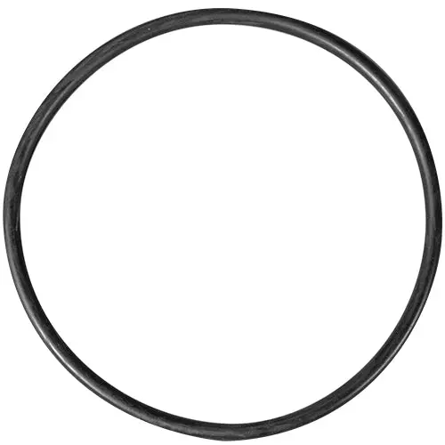 Waterway Trap Lid O-Ring 805-0439 1