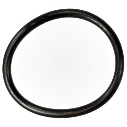 Pentair O-Ring 86006900 1
