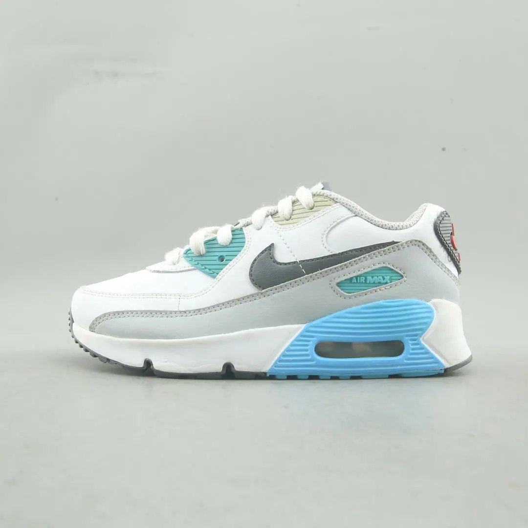 Nike Air Max 90 1