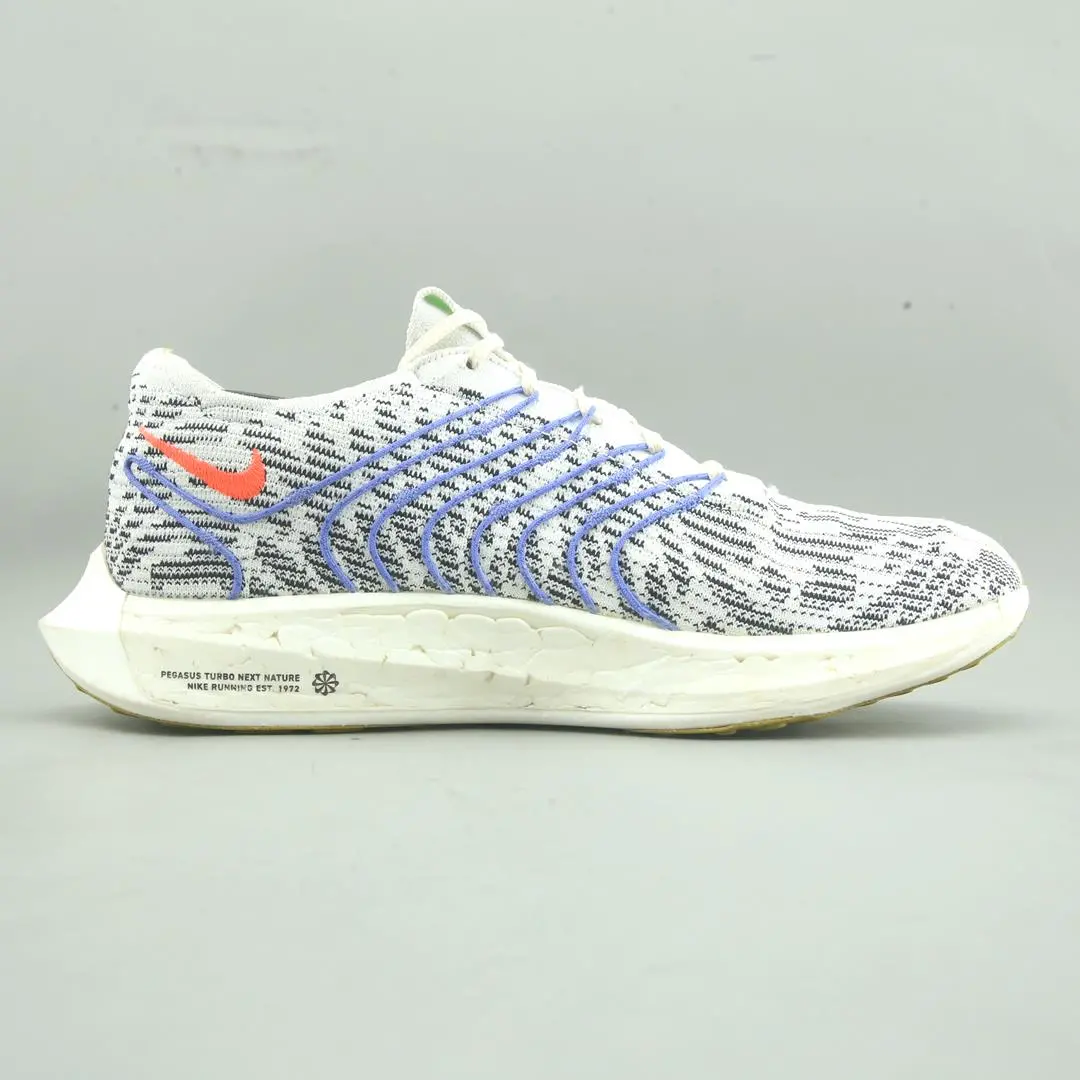Nike Pegasus Turbo Next Nature 2