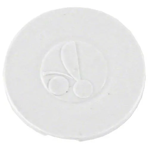 Polaris Hub Cap 9-100-1114 1