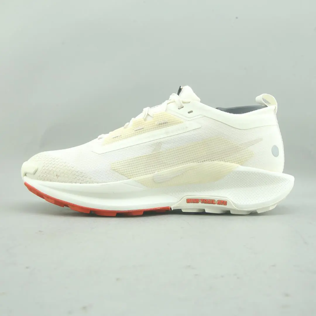 Nike Pegasus Trail 5 Gore-Tex 1