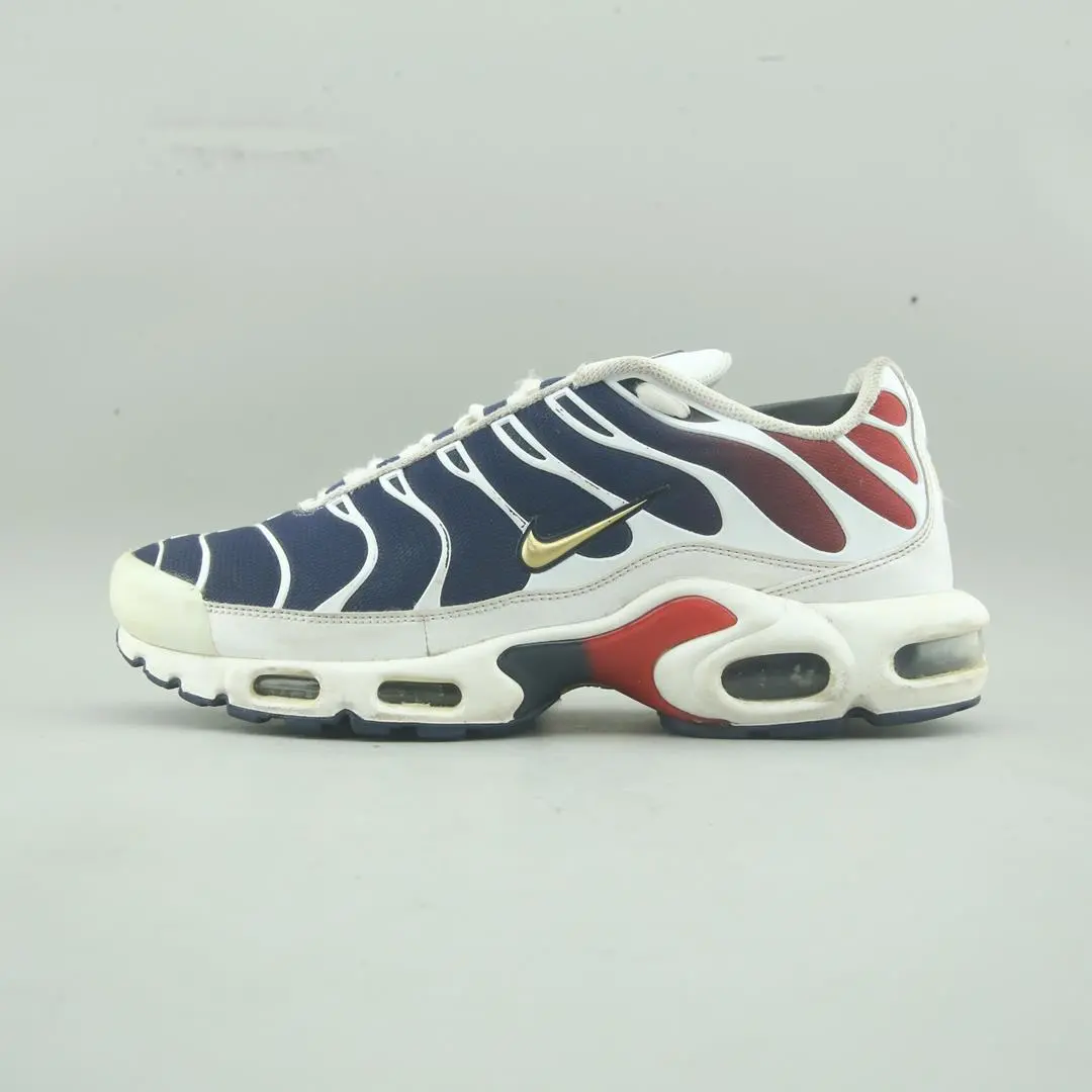 Nike Air Max Plus Psg 1