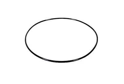 Hayward O-Ring Ax6060s 1
