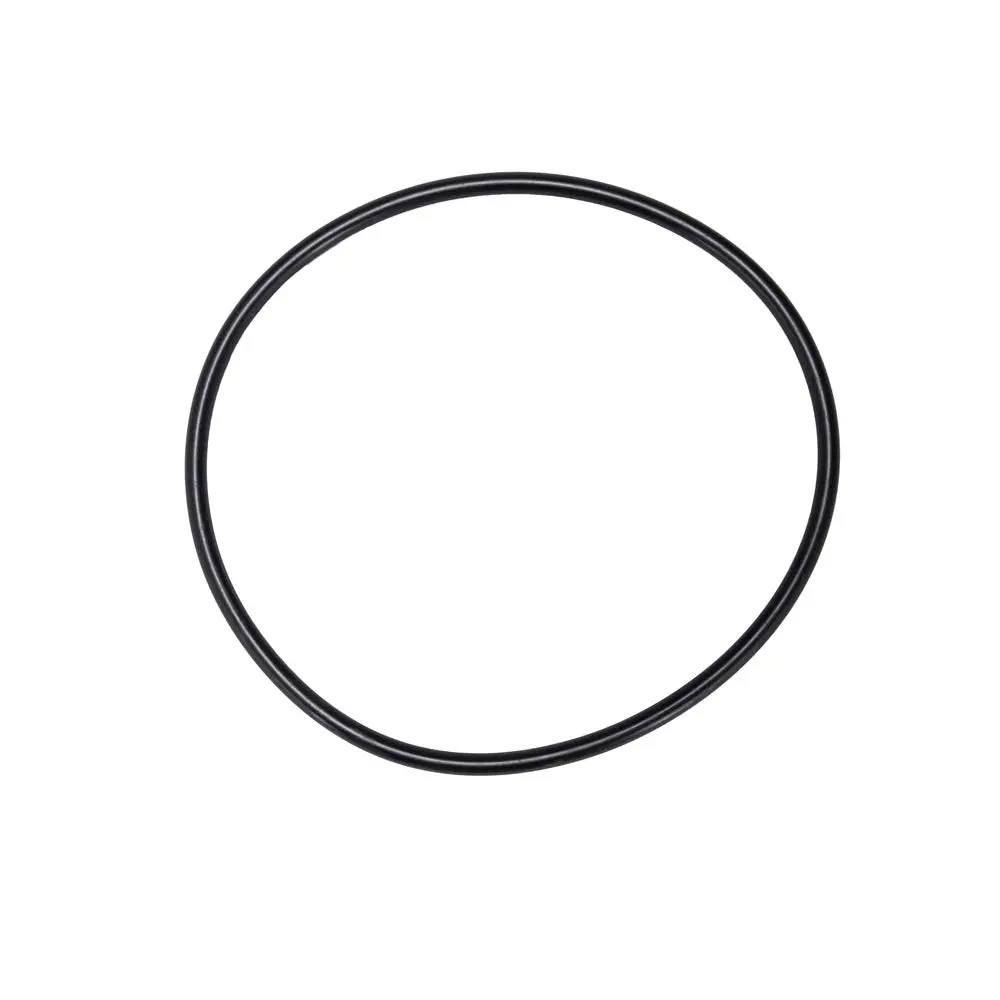Hayward Leaf Canister O-Ring Axw542 1