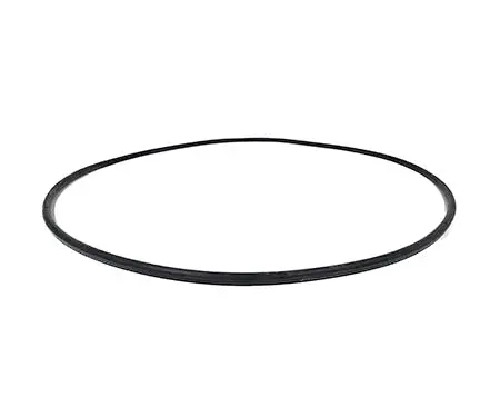 Hayward Body O-Ring Ccx1000g 1