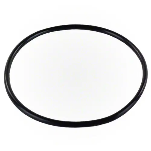 Hayward Viton O-Ring Clx200k 1