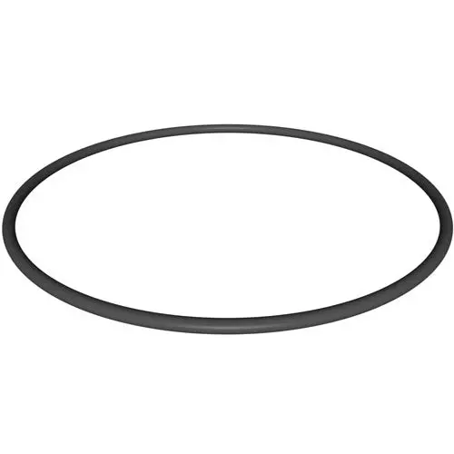 Hayward Filter Head O-Ring Cx900f 1