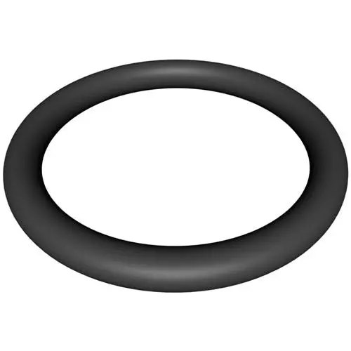 Hayward Locking Knob O-Ring Cx900h 1