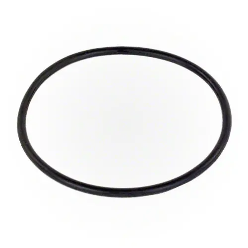 Hayward Outlet Elbow Pipe O-Ring Dex2400z5 1