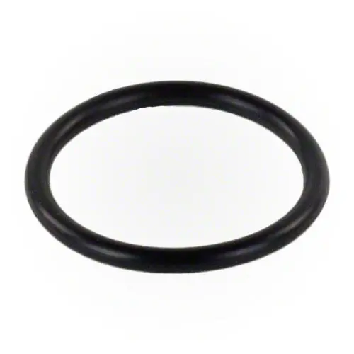 Pentair O-Ring For Wall Fitting E21 1