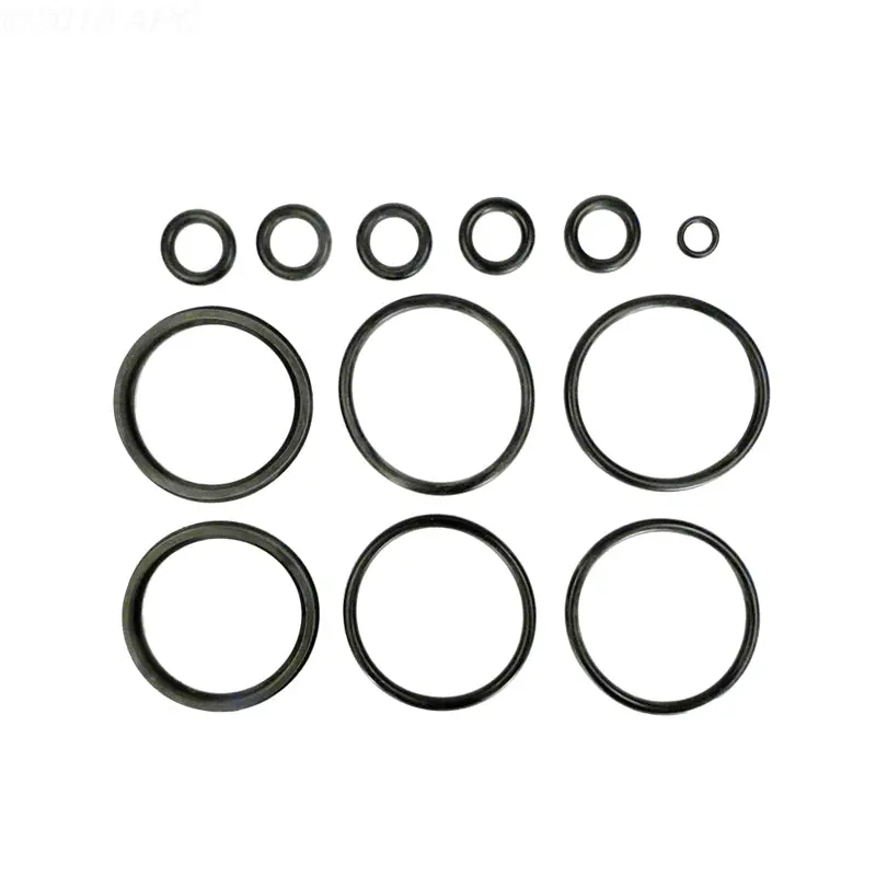 Hayward Head O-Ring Kit Fdxlfor1930 1