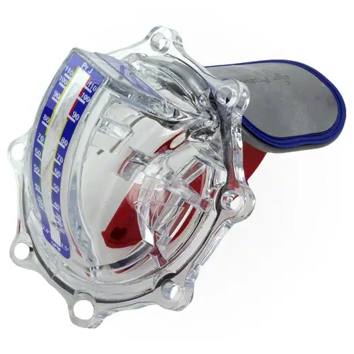 Retrofit Flowvis Flow Meter 2" - 2.5" - Jandy Valves 1