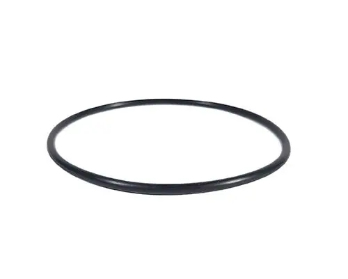Hayward O-Ring For Salt Cell Glx-Diy-Oring 2