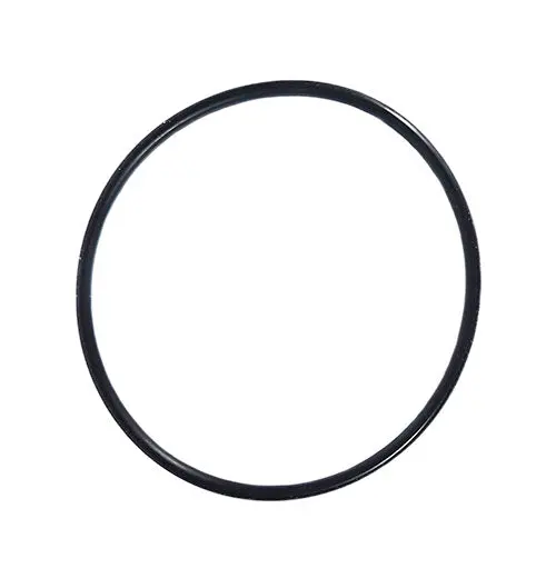 Hayward O-Ring For Salt Cell Glx-Diy-Oring 1