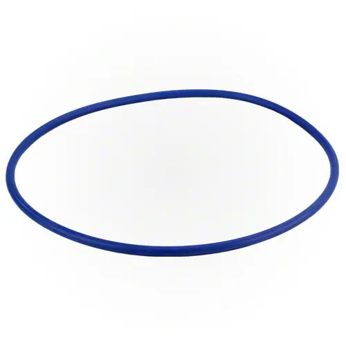 Hayward O-Ring Gmx600f 1
