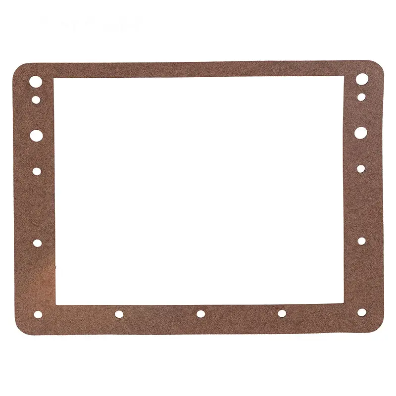 Aquagenie Faceplate Gasket H01616 1