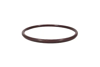 Hayward Strainer Housing Flange O-Ring Hcxp343v70 1