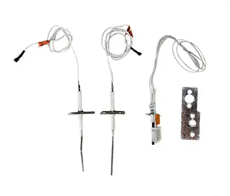 Hayward Ignitor And Flame Sensor Hdxfigfs002 1