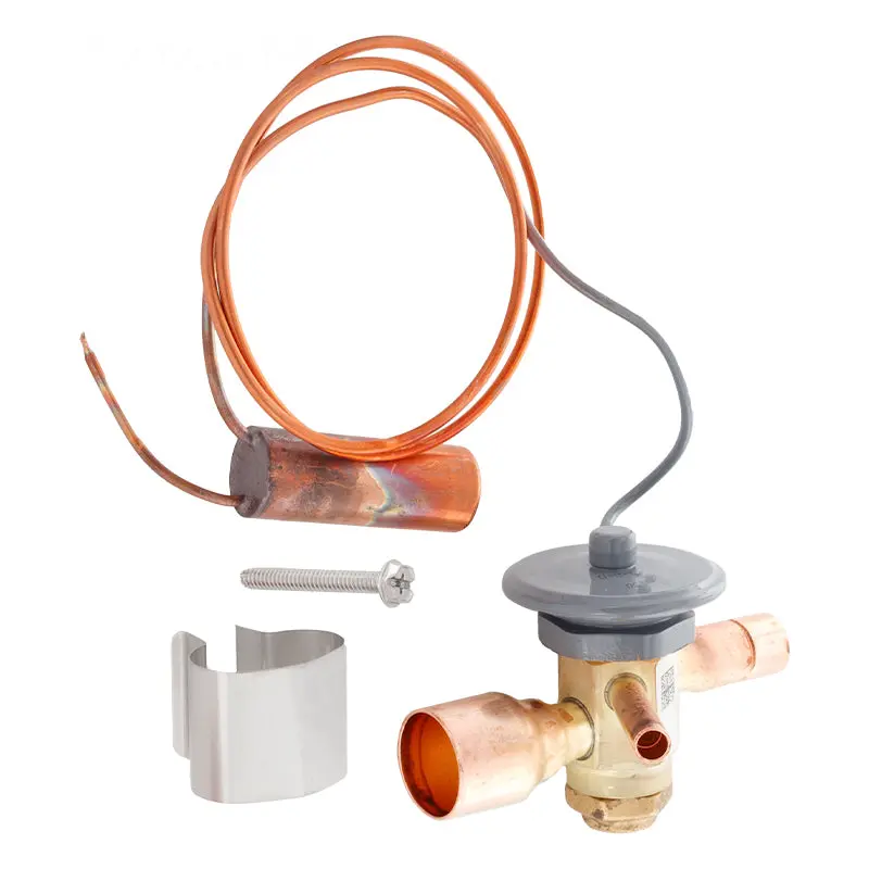 Hayward Thermal Expansion Valve Hpx51700029001 1