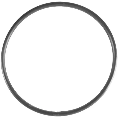 Aladdin O-Ring O-12 1